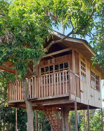 Treehouse